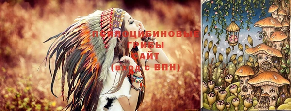 МДПВ Зеленокумск