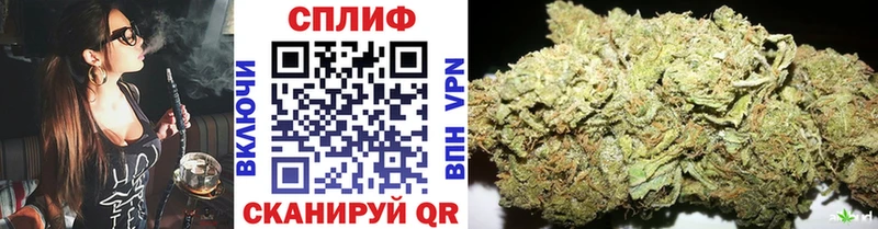 Шишки марихуана семена  Старая Русса 